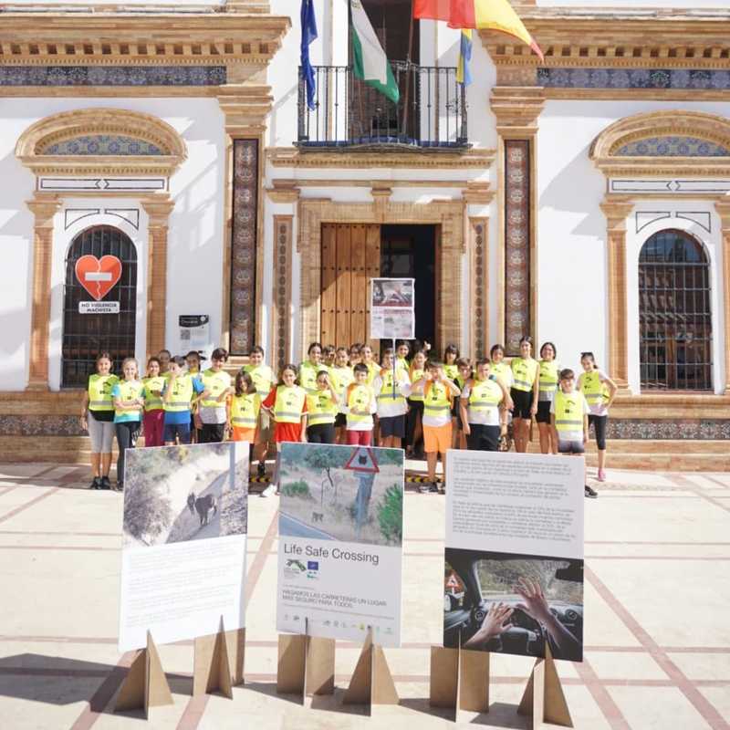 Spanish students support the LIFE SAFE-CROSSING project