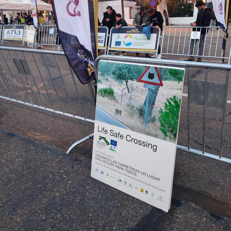 THE LIFE SAFE CROSSING PROJECT IN THE 40TH EDITION OF THE RALLYE SIERRA MORENA (CÓRDOBA)