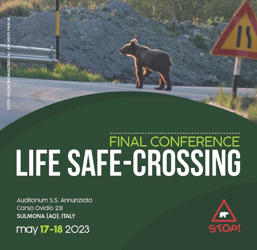 Save The Date