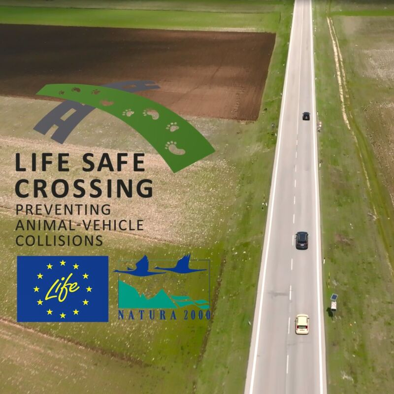 THE VIDEO OF THE LIFE SAFE-CROSSING PROJECT IS FINALLY ONLINE!